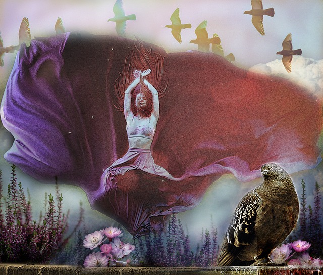 的生态平衡 的生态平衡