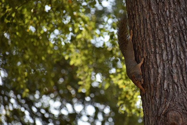 帕加宁：国米设置夺冠奖金是很好的推动力 对阵欧冠.
