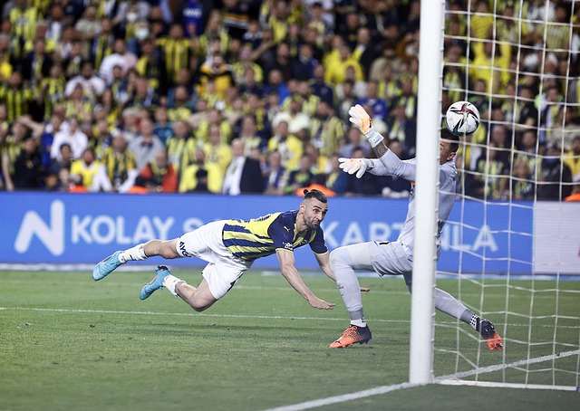 是他成功的 是他成功的