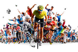 历程和成就 历程和成就