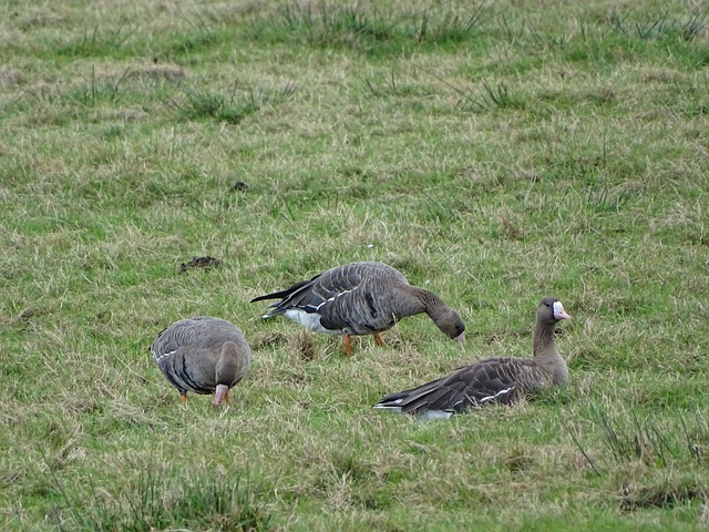 了几笔重磅 了几笔重磅